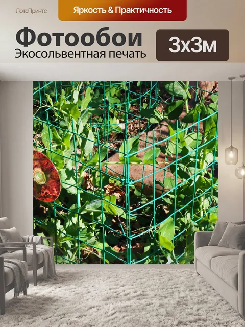 Фотообои огороженный зеленым горошком