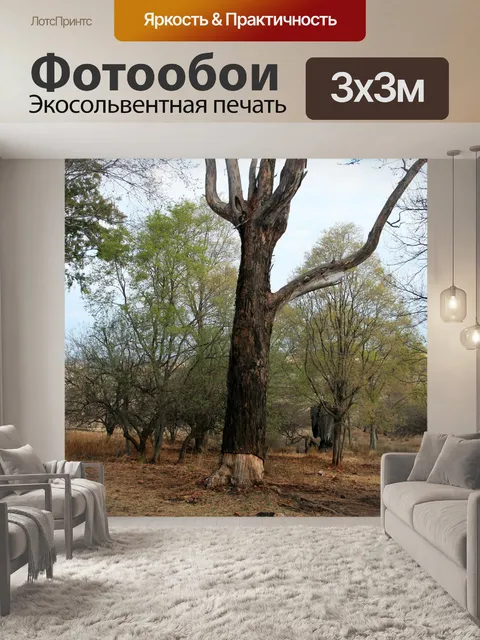 Фотообои деревья и кусты
