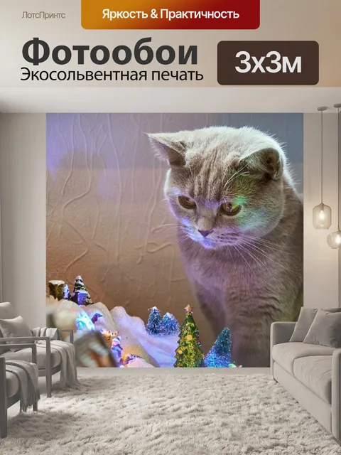 Фотообои Кот