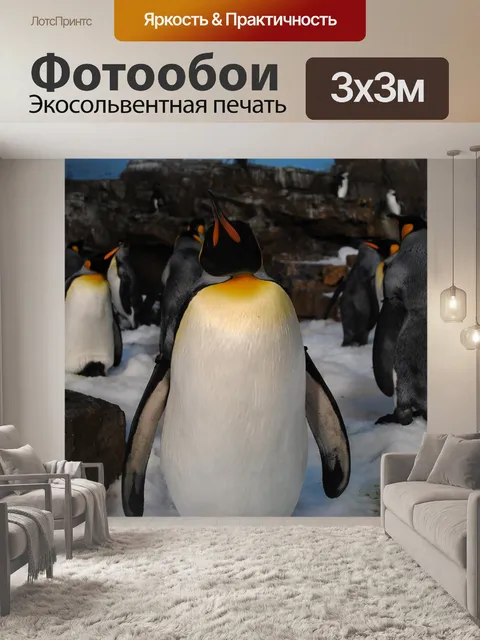 Фотообои Пингвины