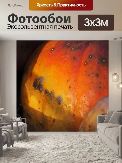 Фотообои желтый и оранжевый на спелой тыкве