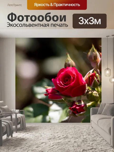 Фотообои Розы