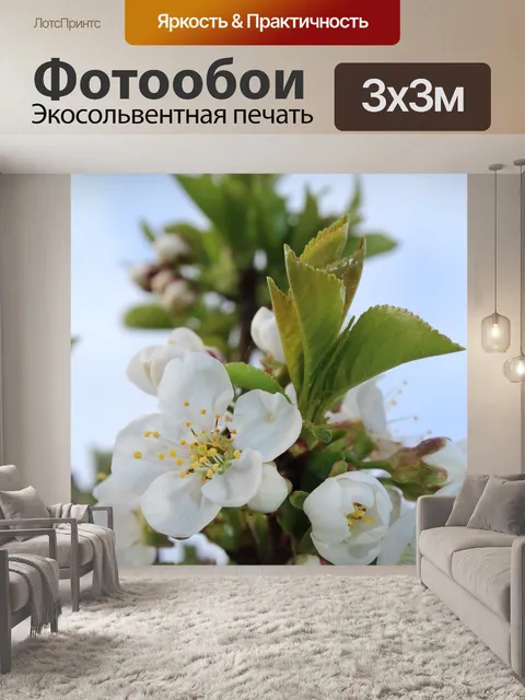 Фотообои Белые цветки