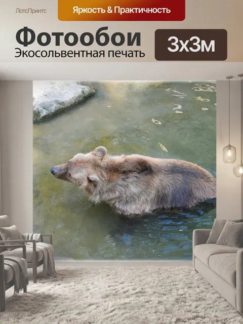 Фотообои Медведь в ванну 1