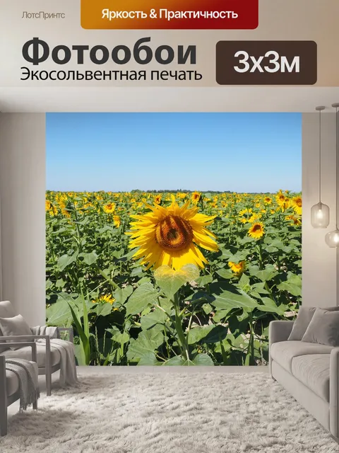 Фотообои Подсолнух