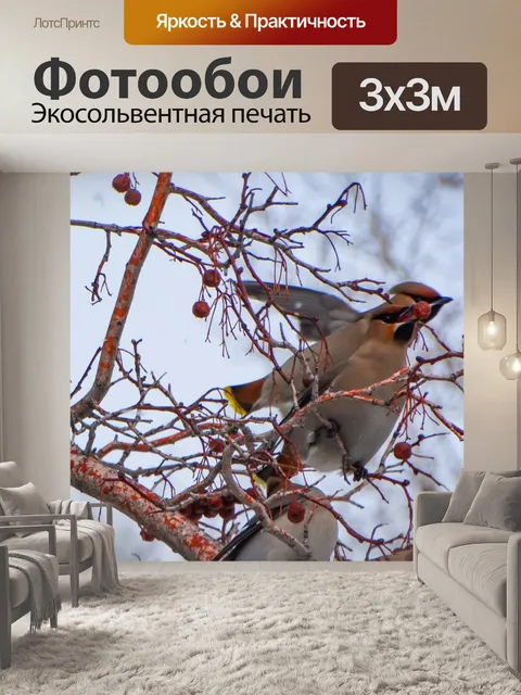 Фотообои Птицы