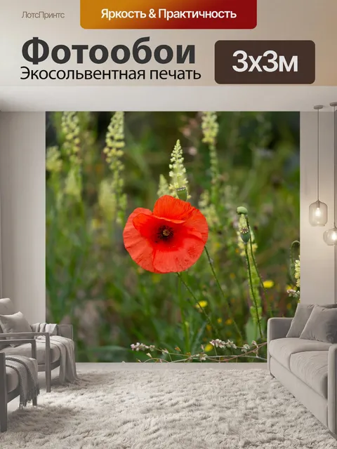 Фотообои Цветок