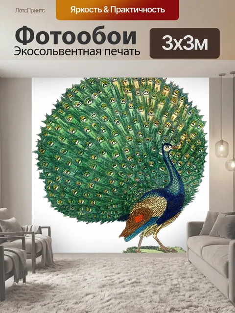 Фотообои Павлин птица старинное искусство