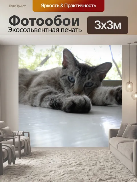 Фотообои Кошка в окне