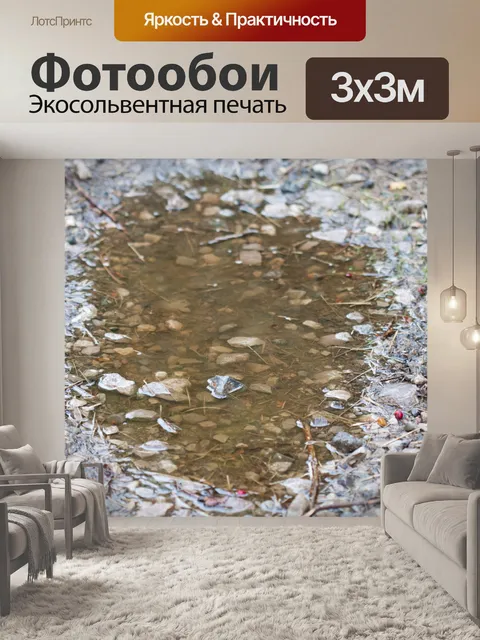 Фотообои Дождь Лужа
