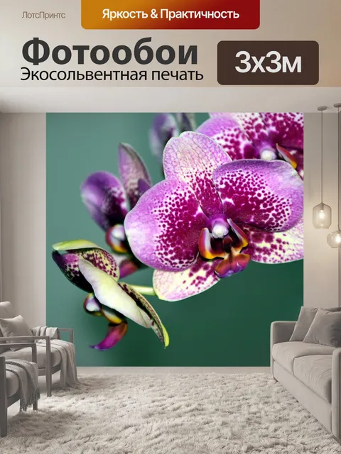 Фотообои Орхидея