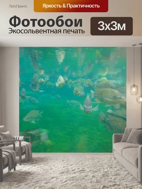 Фотообои Рыбы