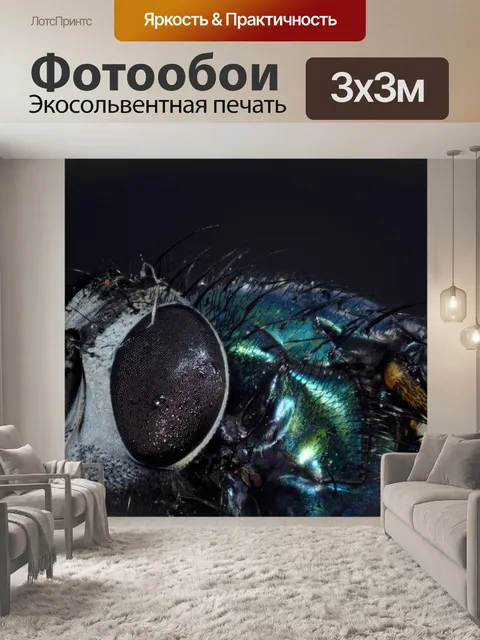 Фотообои Bluebottle
