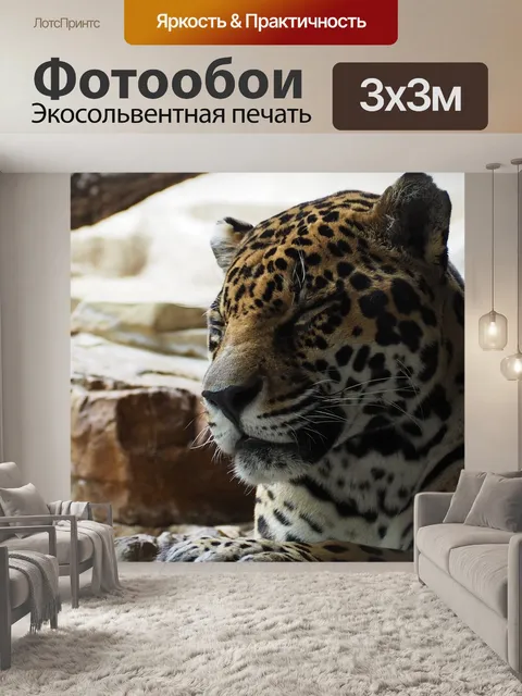 Фотообои Ягуар