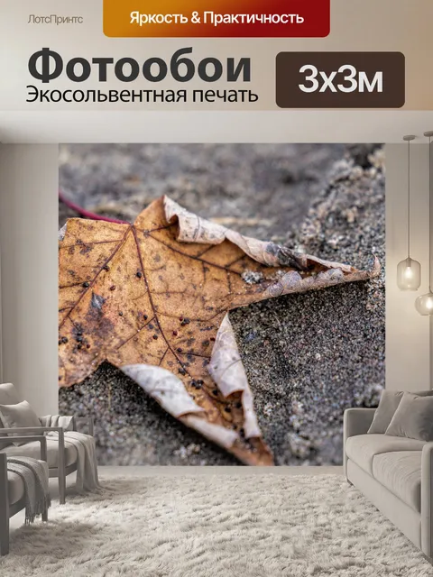 Фотообои Лист