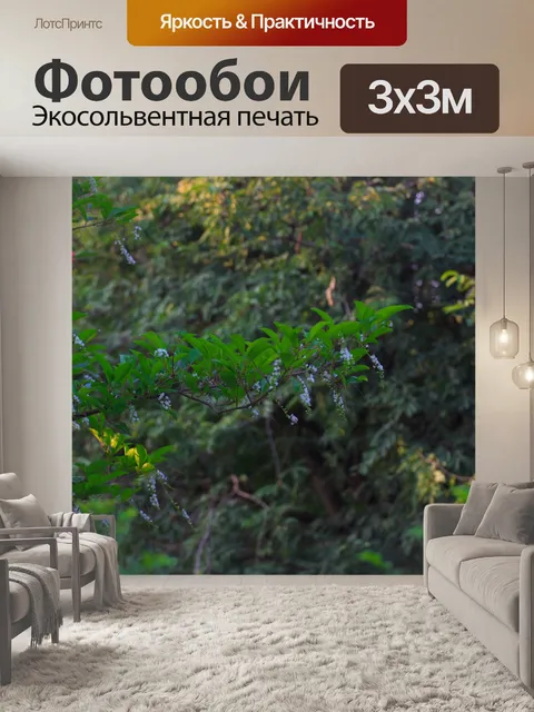 Фотообои Таиланд