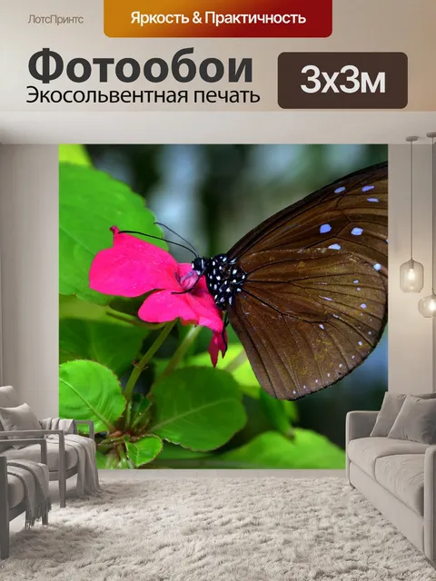 Фотообои Бабочка