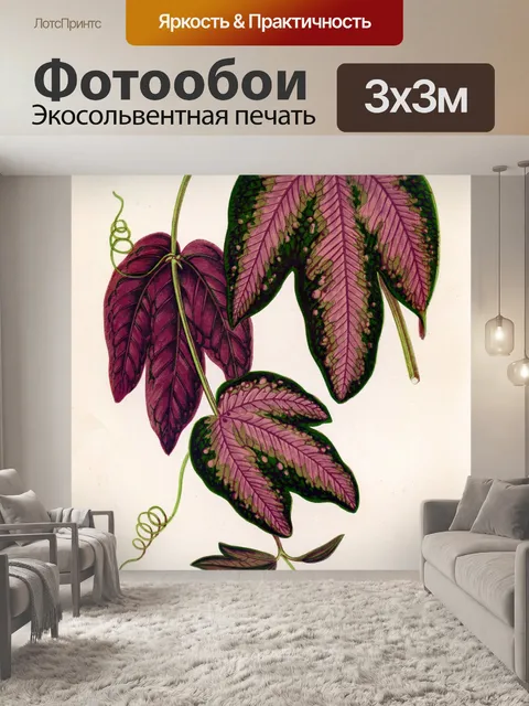 Фотообои Листва Листья Винтажное Искусство