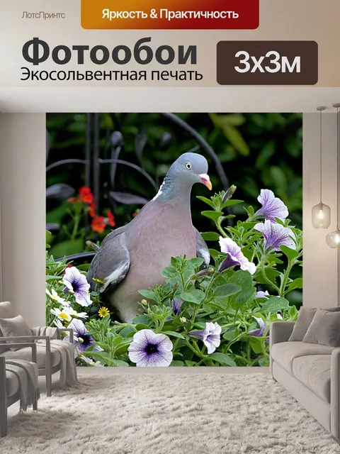 Фотообои Птица