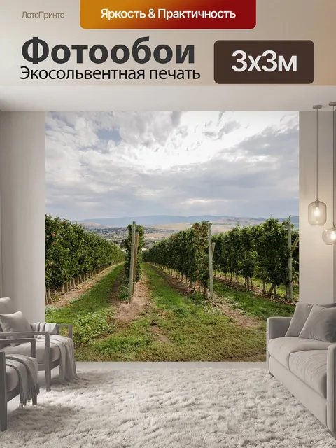 Фотообои Линия горизонта