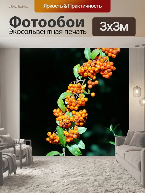 Фотообои Терновник