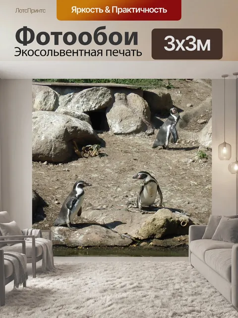 Фотообои Пингвин