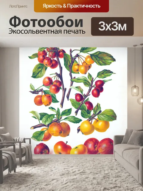 Фотообои Яблоки фрукты винтажная живопись