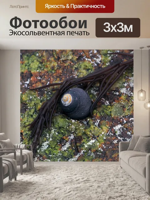 Фотообои Краб Shell на Рок