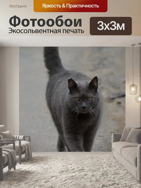 Фотообои Кошка