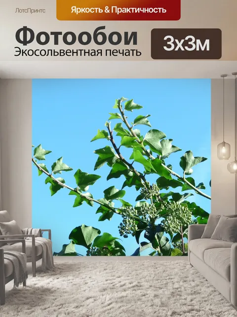 Фотообои Усики