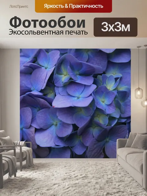 Фотообои фиолетово-синие гортензии