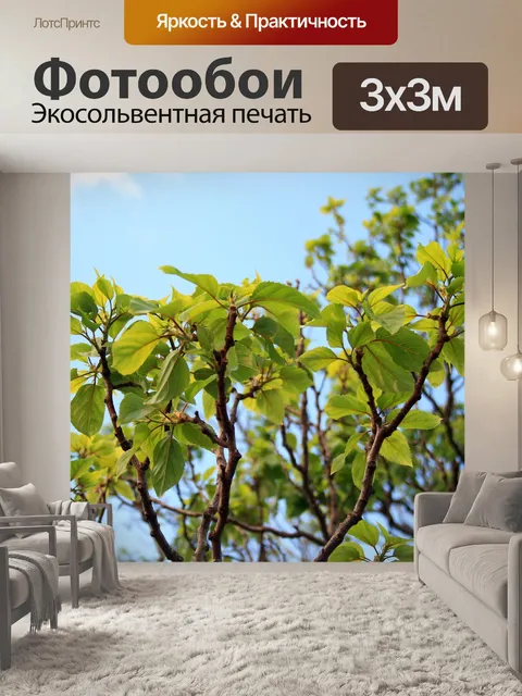 Фотообои японский изюм дерево