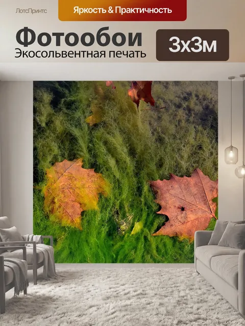 Фотообои Листья