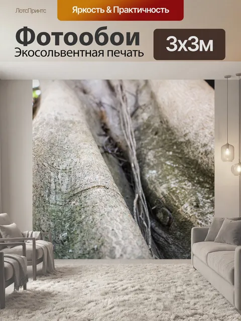 Фотообои Высота