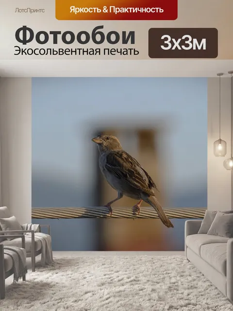 Фотообои Птица