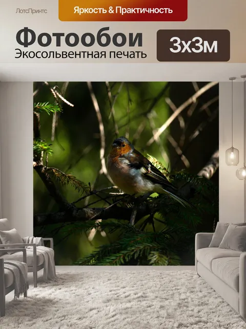 Фотообои Птичка