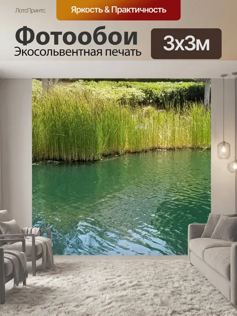 Фотообои Тростники на берегу озера