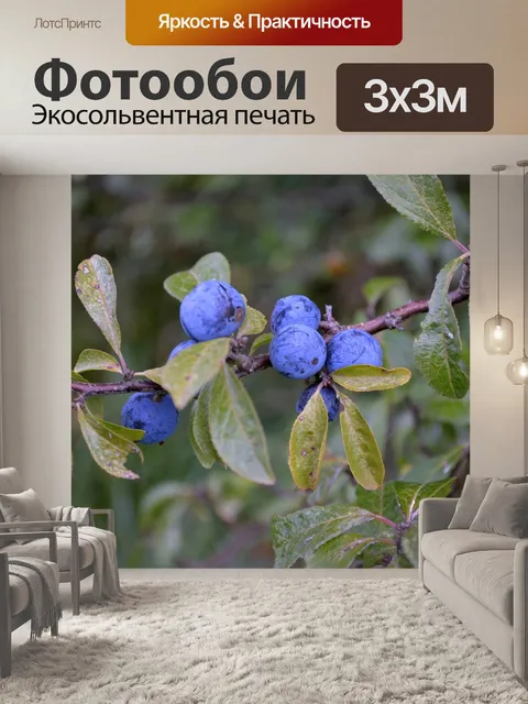 Фотообои Ягоды