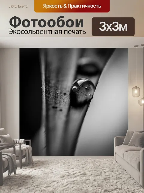 Фотообои Черный и белый