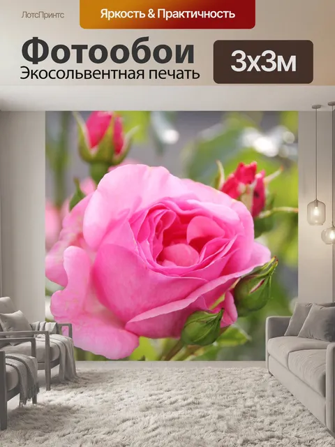 Фотообои Розы