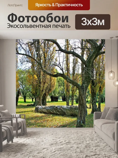 Фотообои ствол дерева и тополя