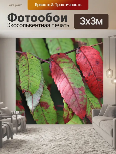 Фотообои Листья сумаха осенью