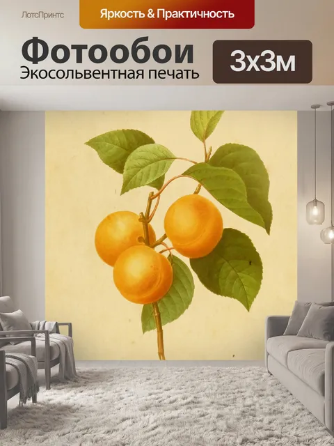 Фотообои Абрикос Фрукты Винтаж Искусство