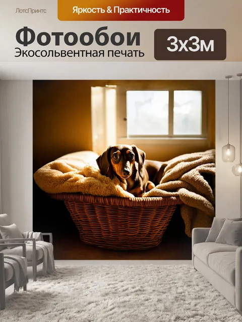 Фотообои в уютной домашней обстановке, такса уютно устроилась в корзине, среди мягких подушек и теплого пледа