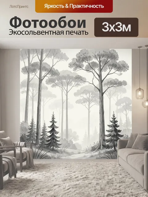 Фотообои Туманный лес с высокими соснами