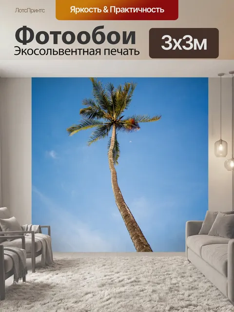 Фотообои Кокос
