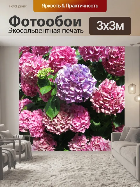 Фотообои Гортензия