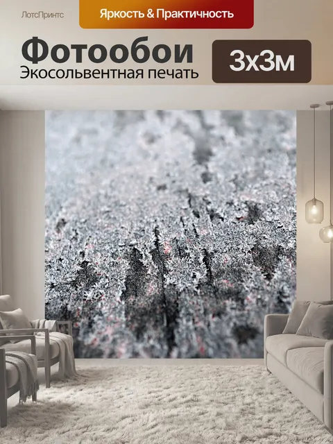 Фотообои зимний иней
