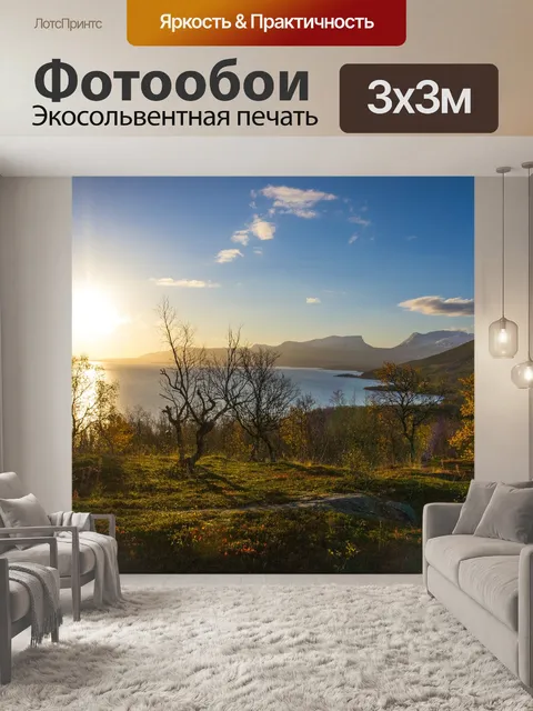 Фотообои Березовая роща