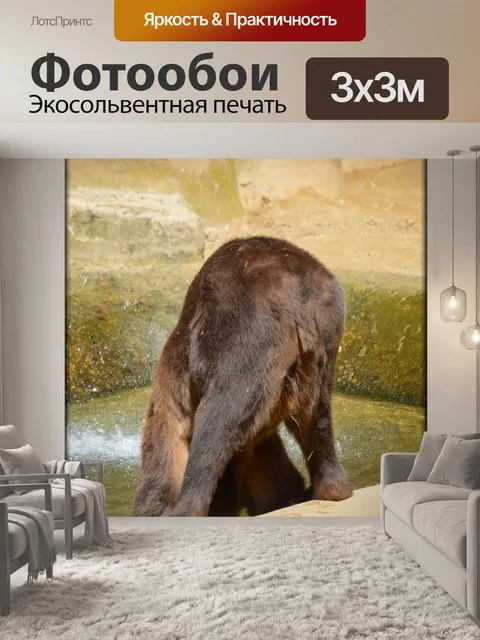 Фотообои Бурый медведь 03